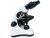 Microscopio Biologico Professionale